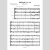 Maddalena Casulana, Madrigali a 4 voci, by Antonella Di Poto