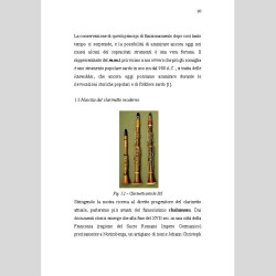 The clarinet. Soprano and bass. Brief history and organological evolutions, by Francesco Di Domenico