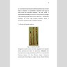 The clarinet. Soprano and bass. Brief history and organological evolutions, by Francesco Di Domenico