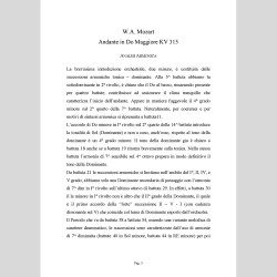 Riflessioni Musicali, di Giuseppe Carannante