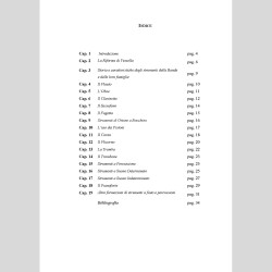Organologia degli strumenti che compongono la banda, di Francesco Pio Ferrentino e Raul Jain
