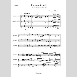 Concertando, by Francesco Pio Ferrentino
