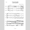 Concertando, by Francesco Pio Ferrentino