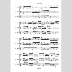 Concertando, by Francesco Pio Ferrentino