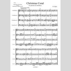 Christmas Coral by Vincenzo Carannante