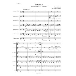 F. Schubert, Serenata for Clarinet Ensemble by Mauro Caturano