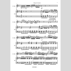 Allegro da Concerto, for Clarinet and Piano by Gaetano Apicella and Francesca Apicella
