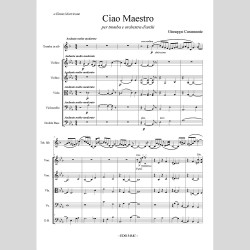 Ciao Maestro by Giuseppe Carannante