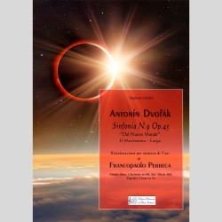 Sinfonia N.9 "Dal nuovo mondo", di Francopaolo Perreca