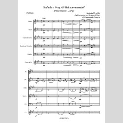Sinfonia N.9 "Dal nuovo mondo", by Francopaolo Perreca