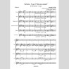 Sinfonia N.9 "Dal nuovo mondo", by Francopaolo Perreca