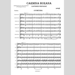 Carmina Burana, di Francopaolo Perreca