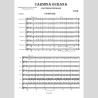 Carmina Burana, di Francopaolo Perreca