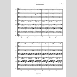 Carmina Burana, di Francopaolo Perreca