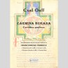 Carmina Burana, di Francopaolo Perreca