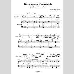 Passeggiata Primaverile  by Agostino Napolitano