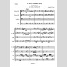 Antonio Vivaldi, The Musician, The Works of Antonella Di Poto